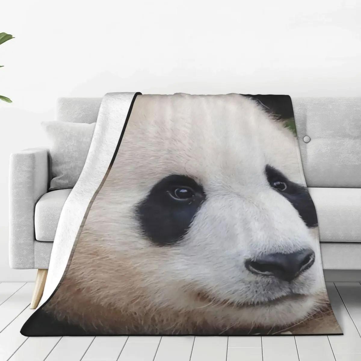 FuBao Panda Fu Bao ε巯 ÷ ö ø , Ÿ ħ 